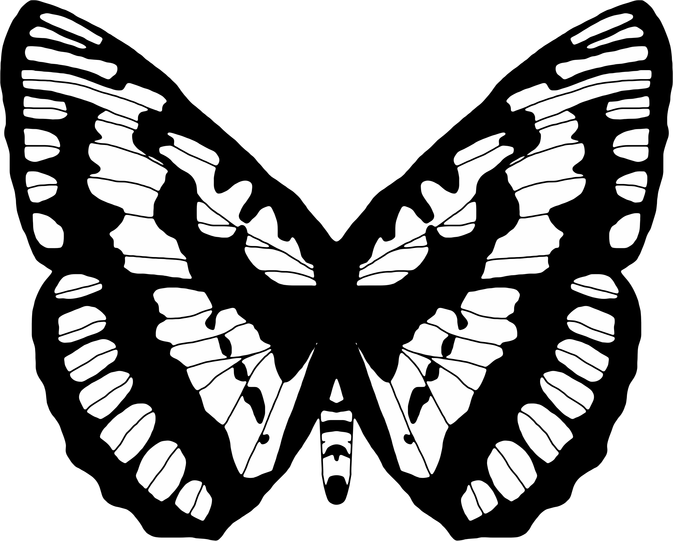 Black And White Butterfly 2 - Symbolism Of The Butterfly (2305x1852)