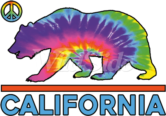 California Tie Dye Bear Neon - California Tie Dye Bear Neon (600x600)