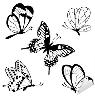 Set Black White Butterflies Of A Tattoo Sticker • Pixers® - Gear New Set Black White Butterflies Of Tattoo Bath (400x400)