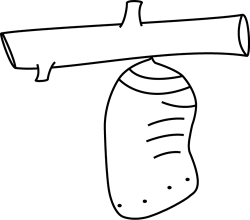 Black And White Butterfly Chrysalis - Cocoon Black And White (500x440)