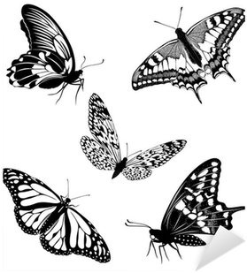 Set Black White Butterflies Of A Tattoo Sticker • Pixers® - Sommerfugle Tegninger Tattoo (400x400)
