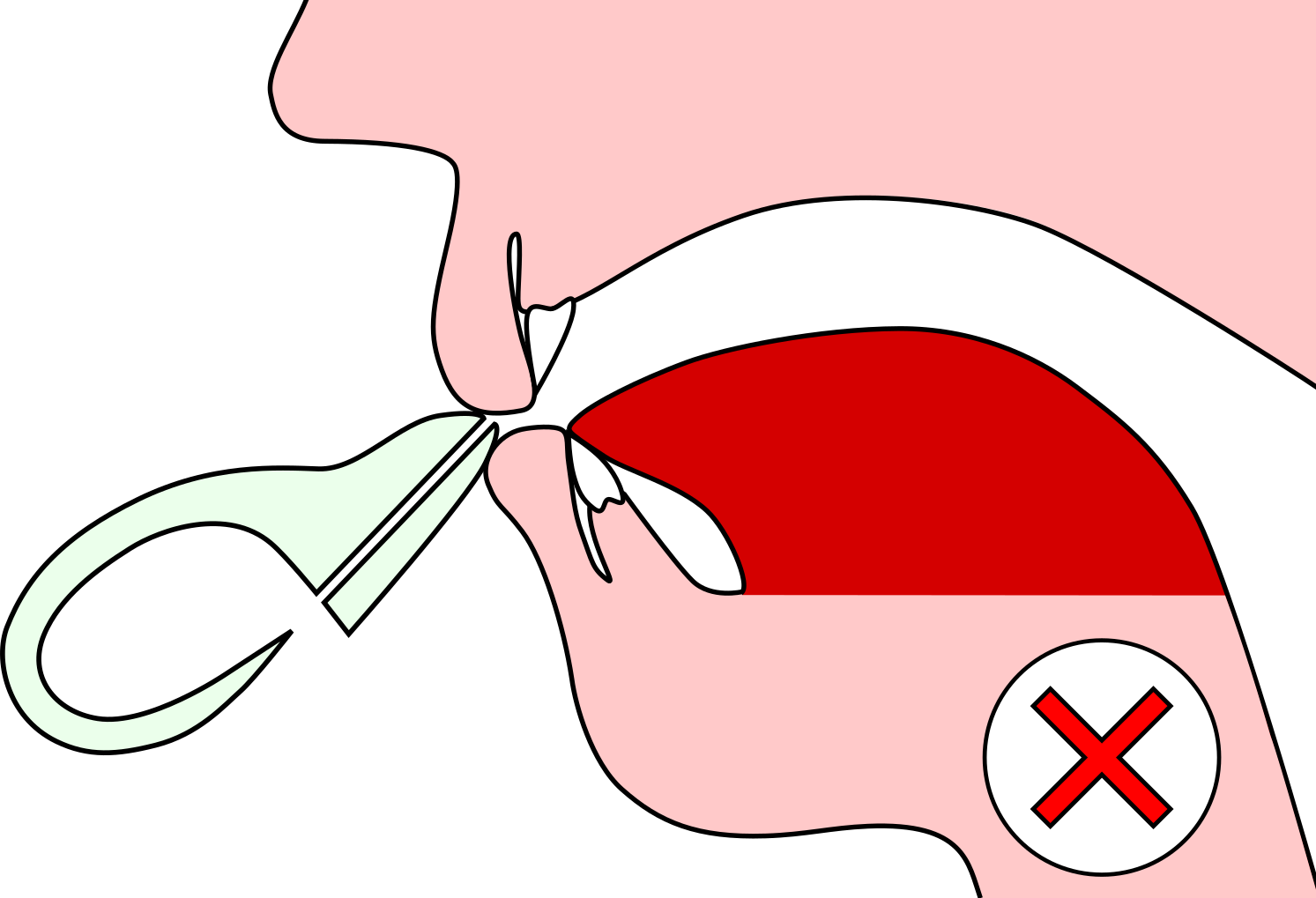 To Get The Best Sound, You Should Angle The Ocarina - Cartoon (1493x1019)