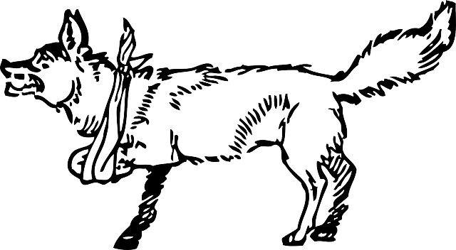 Lame Outline, Fox, Broken, Leg, Animal, Mammal, Arm, - Fox Clip Art (640x352)