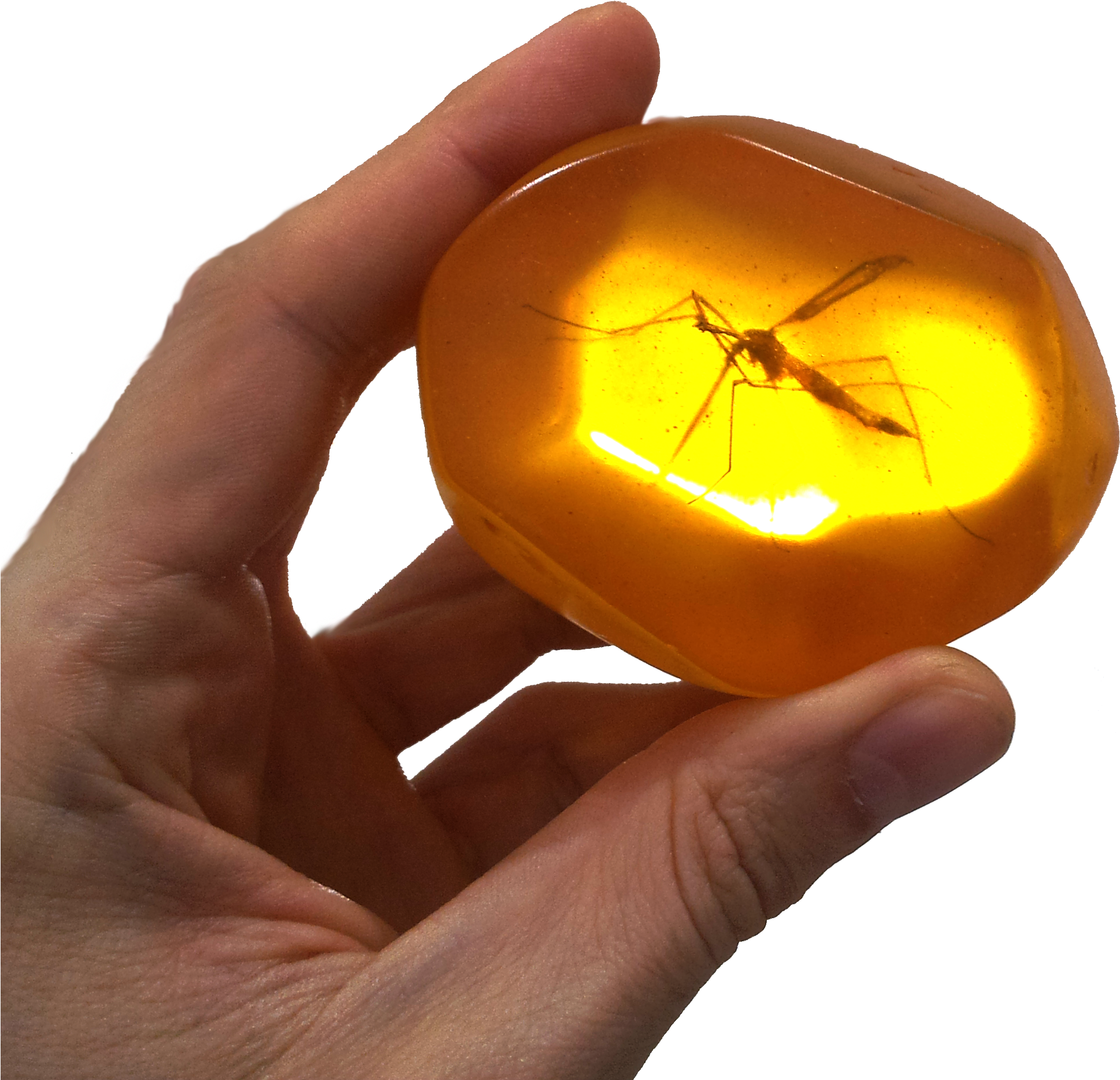 Amber Fx Tattoo Download - Mosquito Trapped In Amber (2720x2448)