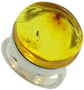 Russian Amber Fossil Ring Asrg0264 - Fossil (400x400)