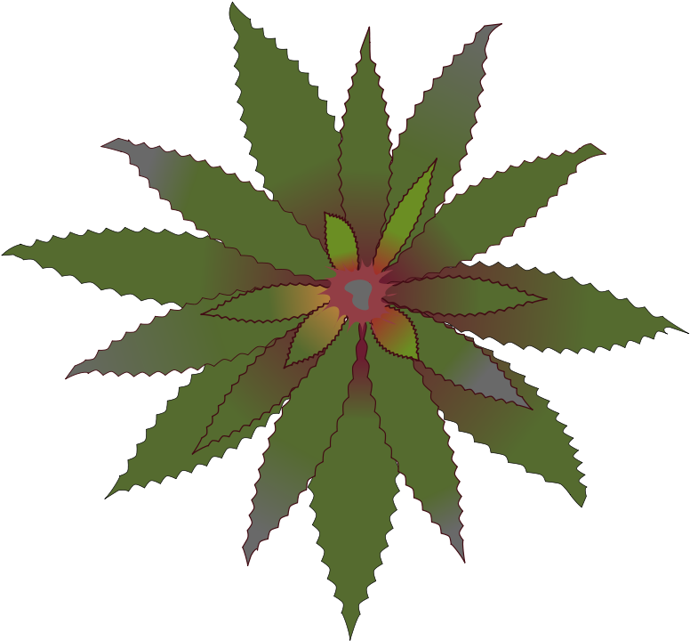 Similar Clip Art - Cannabis (800x800)