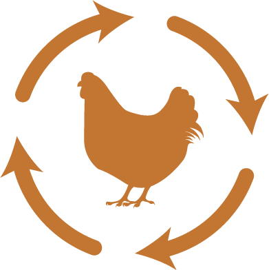 Not All Chicken Is Created Equal - Chicken Dust Bath By Lixit 5.5 Lb (391x392)