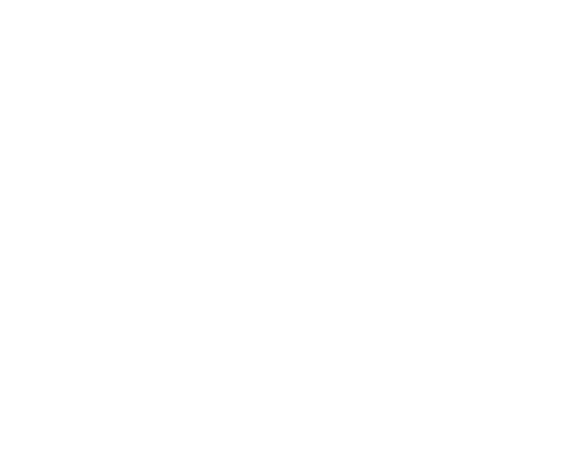 وکتور سیب زمینی سرخ شده (512x512)