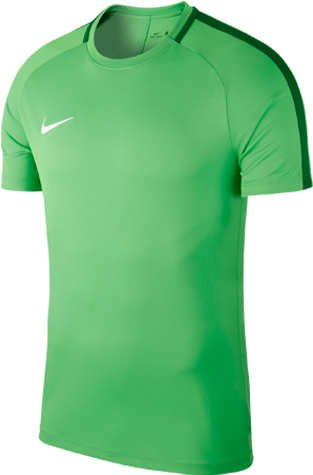 Academy Jersey - Green - Kit Nike Green (480x480)