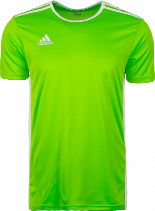 Adidas Entrada 18 Game Jersey - Adidas Tabela 2018 (516x700)