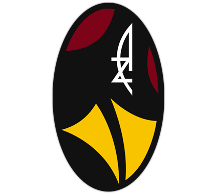 Arizona Cardinals Soccer (420x380)