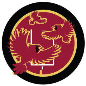 Revenge Of The Birds An Arizona Cardinals Community - Revenge Of The Birds Sb Nation (400x320)