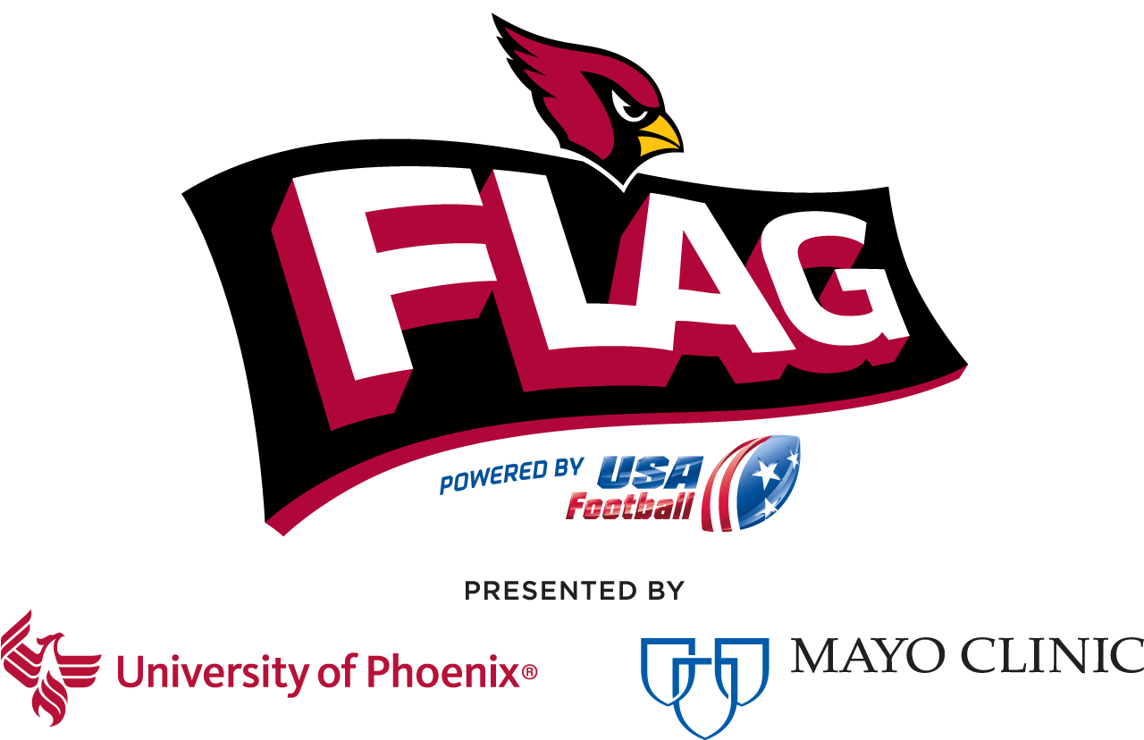 Zoom Link - Arizona Cardinals Nfl Flag (1350x900)