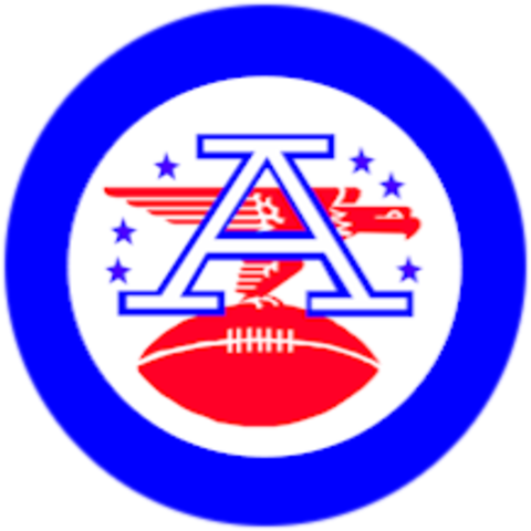 A President Is Hired And 14 Teams Were Created - American Football League (480x480)