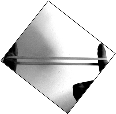 Necessary And Proper Clause - Monochrome (374x369)