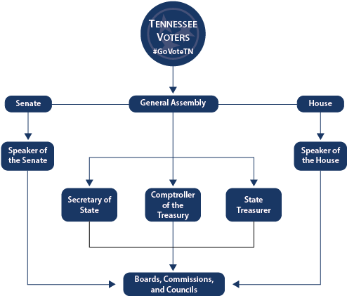 Diagram Of Bicameral Legislature Images Gallery - Tennessee State Government Structure (524x443)