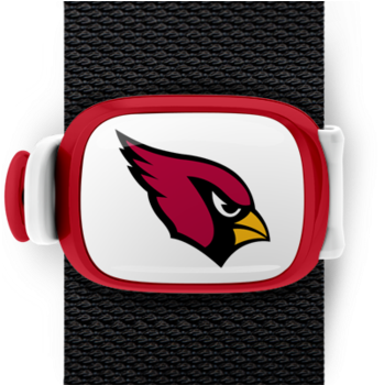 Arizona Cardinals Stwrap - Arizona Cardinals Team Pride Decal Sticker (480x349)