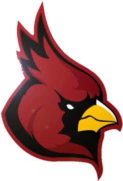 Arizona Cardinals - Arizona Cardinals (900x600)