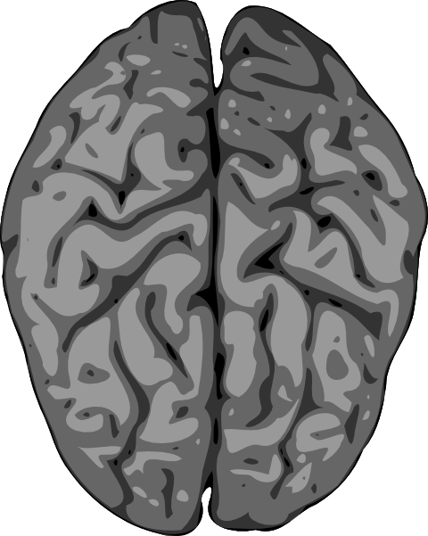 Free Vector Grey Brain Clip Art - Brain Clip Art (480x601)
