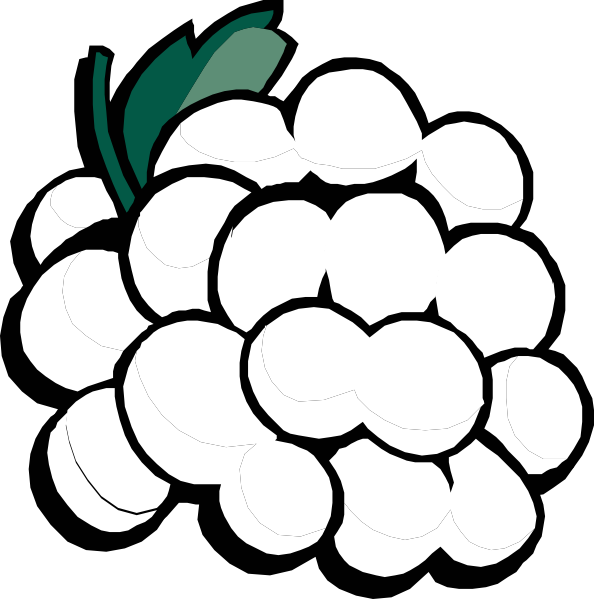 Grapes .png (594x599)