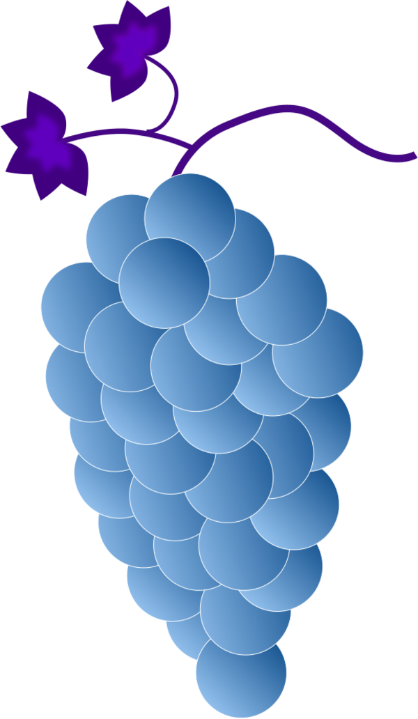 Grapes Clip Art - Grape (600x1032)
