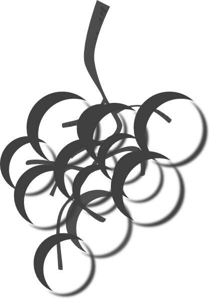 Wine Grape Clip Art (902x1280)