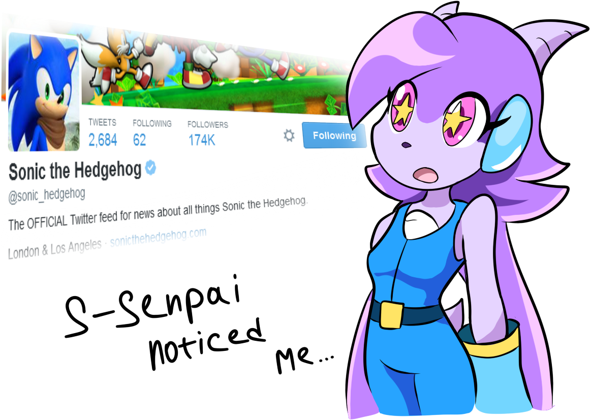 Freedom Planet Sonic Lilac (1189x905)