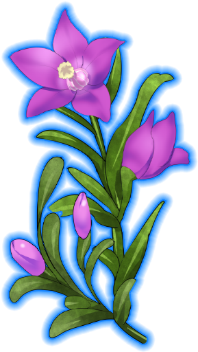 Southern Cross Dressbloom - Iris (960x640)