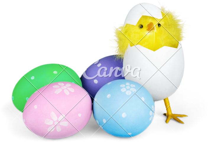 Baby Chicken And Easter Eggs - Easter (800x546)