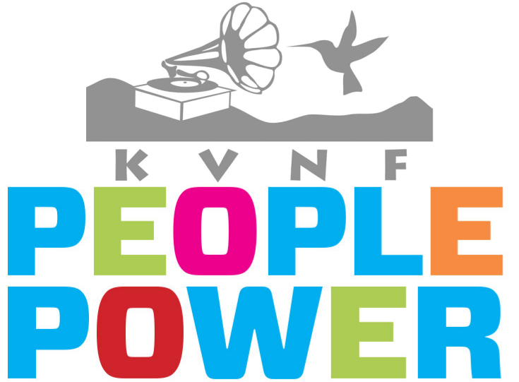 Every Couple Of Years, Kvnf Likes To Take A Survey - Internal Revenue Service (734x573)