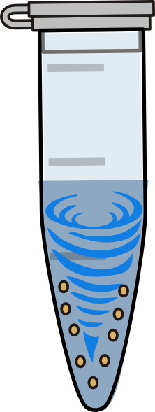 Eppendorf Vortex (222x589)