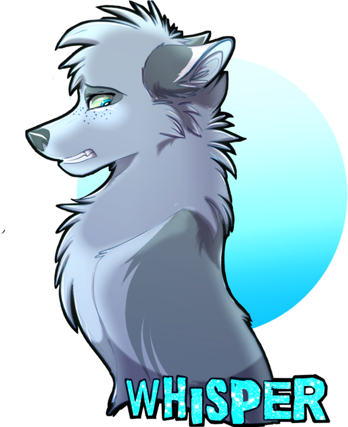 Whisper By Streetfair - Street Fair (923x865)