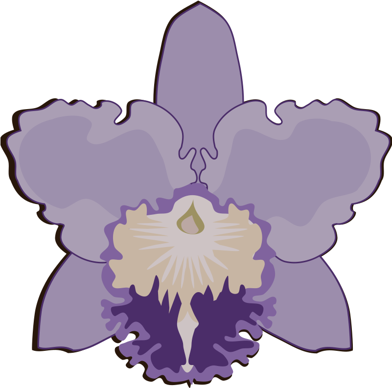 By Jpenrici - Openclipart (800x800)