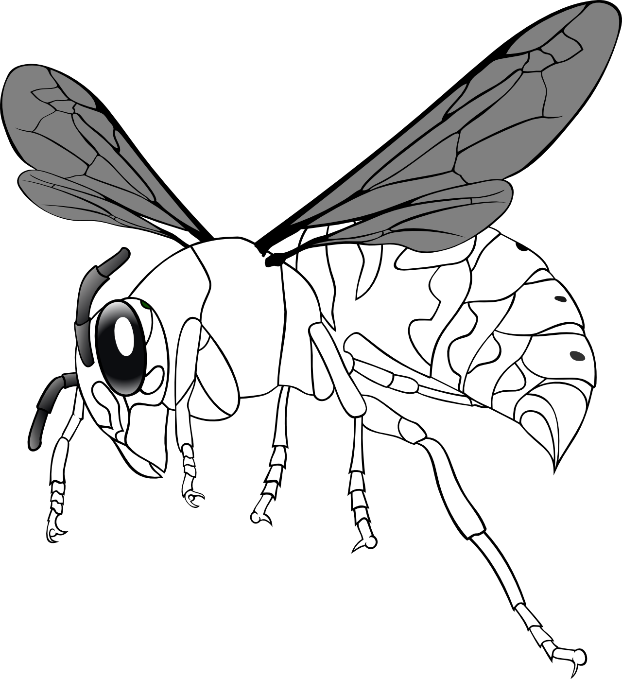 Bee Bot Clipart - Net-winged Insects (1280x1397)