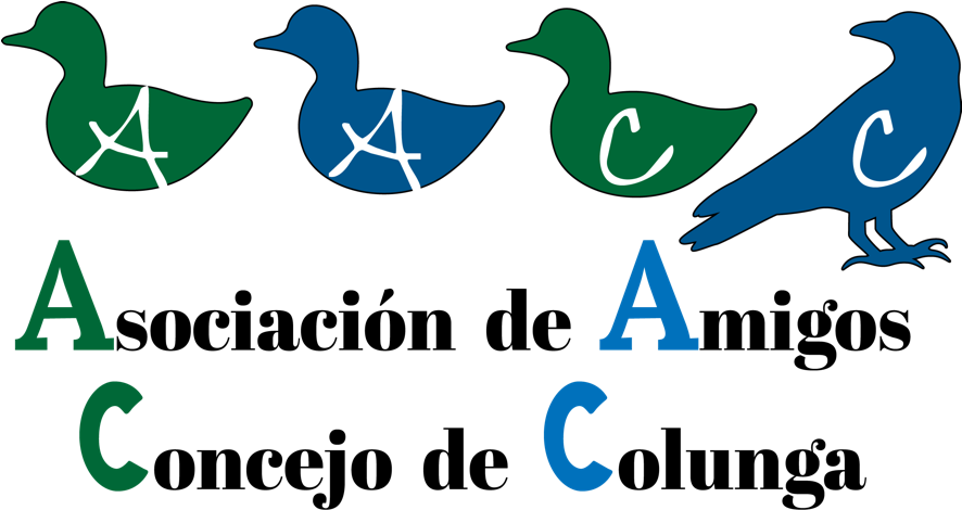 Recordatorio Convocatoria Becas Braulio Vigon - Via Spiga Black Leather 3.75' Heel W/ Unique Style (885x485)