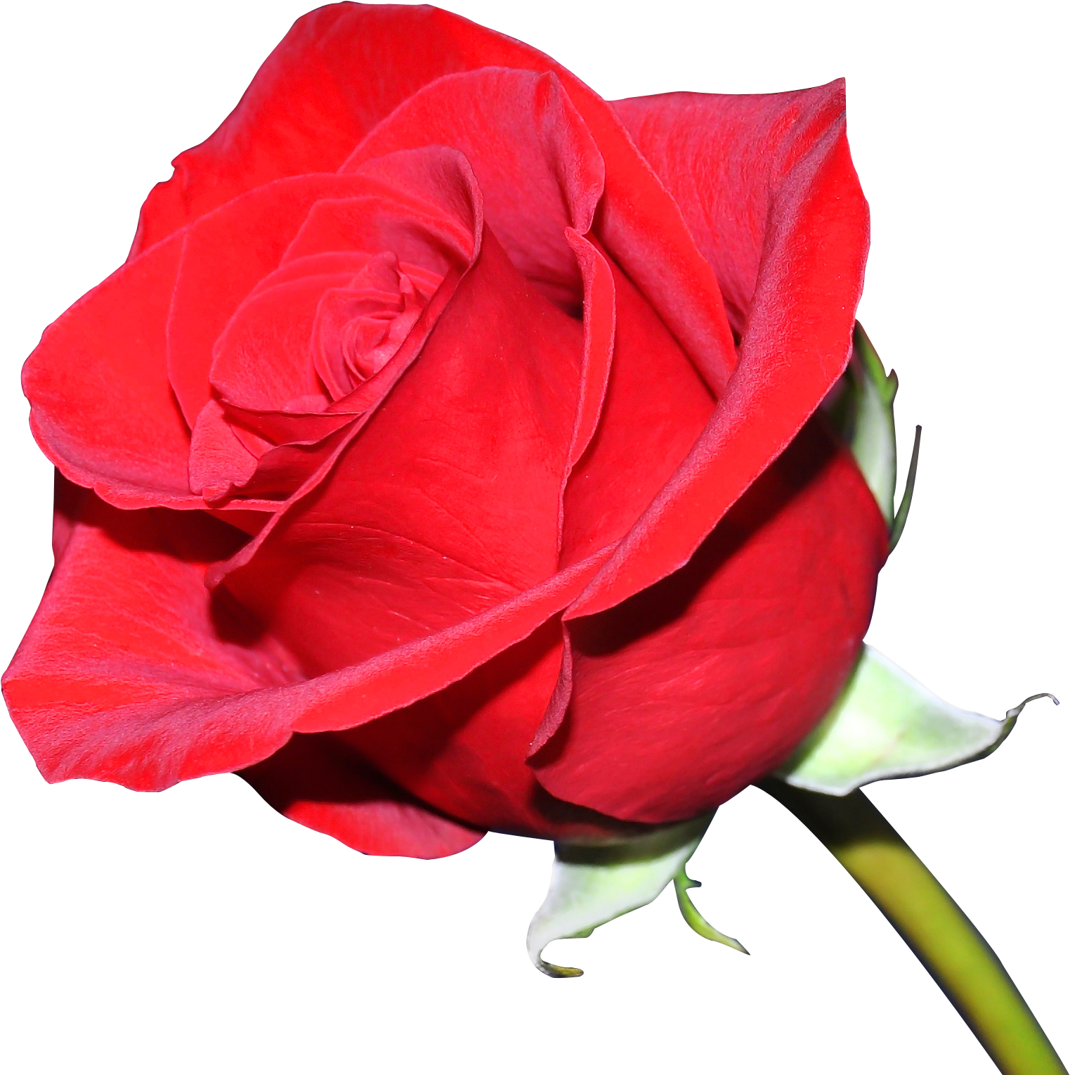 Valentine Week 2017 (2080x1682)