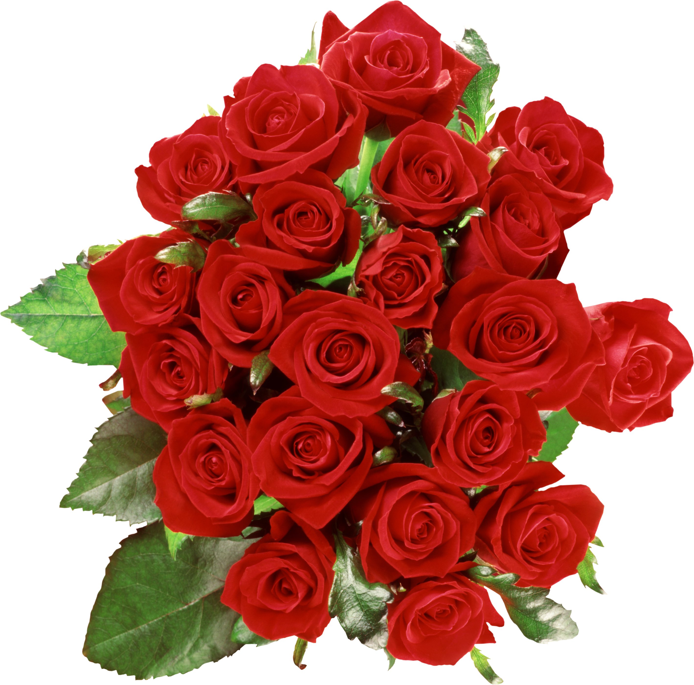 Rose Flower Png (2838x2800)