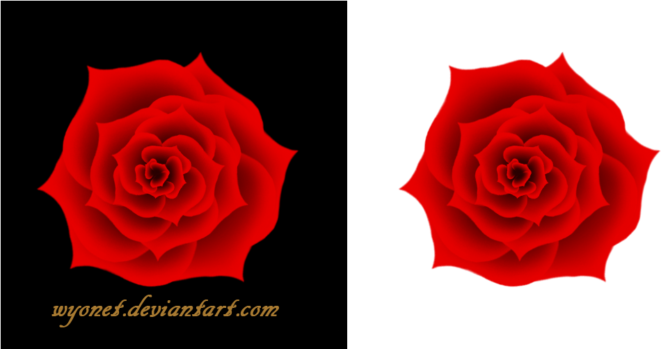 Rose Stock Png By Wyonet - 3d Red Rose Png (1000x500)