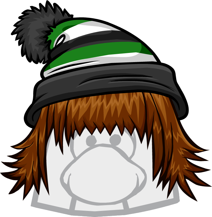 The Bad Hair Day - Tin Foil Hat Icon (697x713)