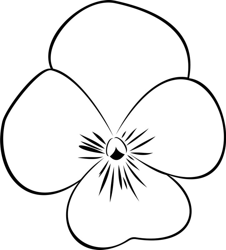 Delicate Orchid Rubber Stamp - Delicate (724x800)