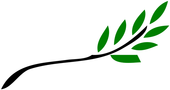 Olive Branch Free Clip Art (600x325)