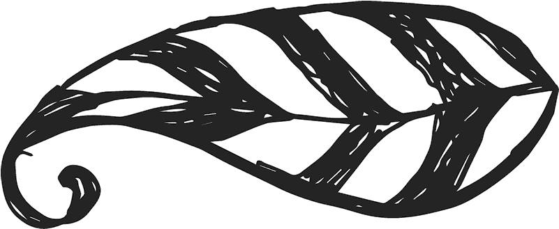 Curling Leaf Sketch Rubber Stamp - Portable Network Graphics (800x800)