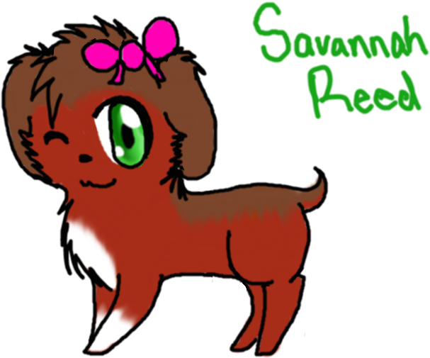 28 Collection Of Lps Savannah Drawing - Drawing (1063x587)