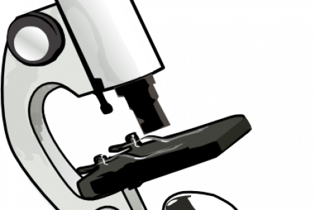Microscope Clip Art Transparent - Microscope Clipart (450x300)