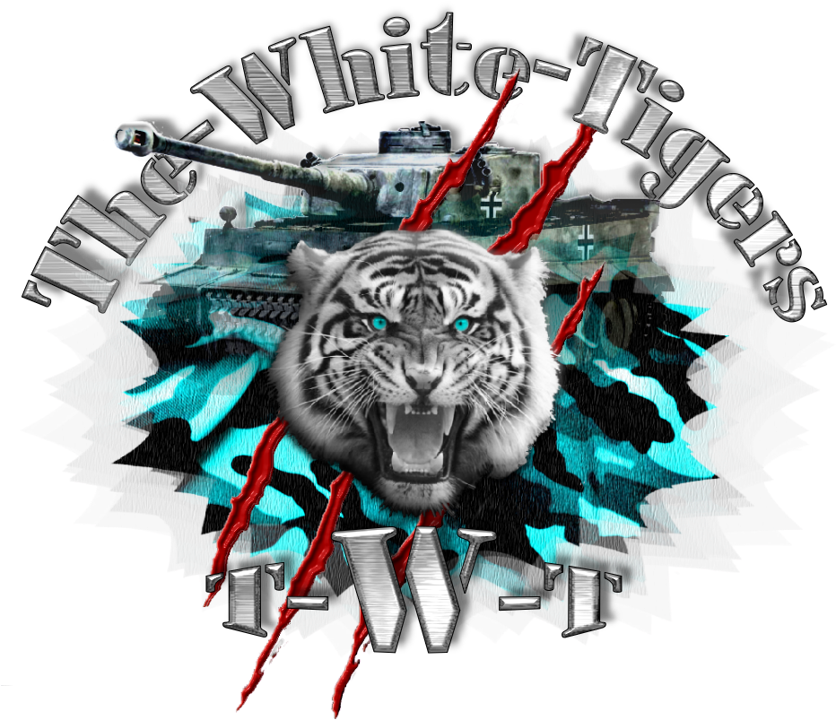 T W T Logo 6 - Beirui Tiger Folding Sport Backpack Drawstring Bag (1030x845)