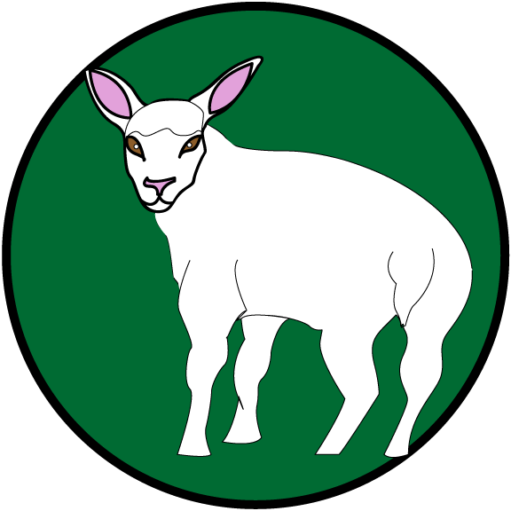 I Admit It - Asociacion Protectora De Animales (576x576)