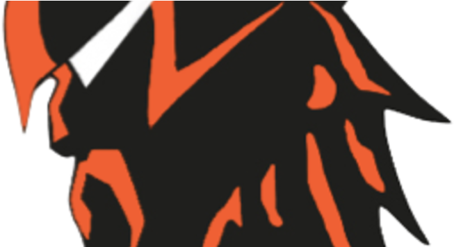 The Smoky Valley Vikings 3 Peat Is A Reality As They - Pumpkin (733x355)