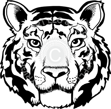 Tiger Clipart Black And White (361x352)