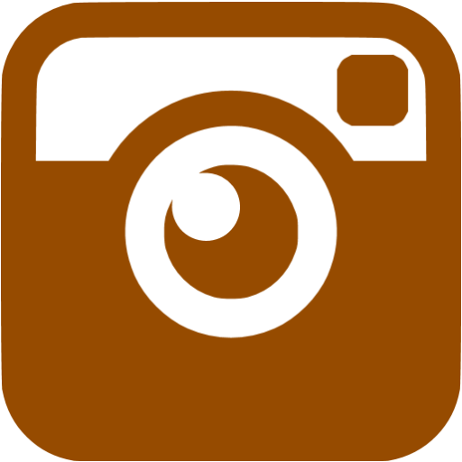 Brown Instagram 6 Icon Free Brown Social Icons 2rkuqz - Instagram Pink Icon Png (512x512)