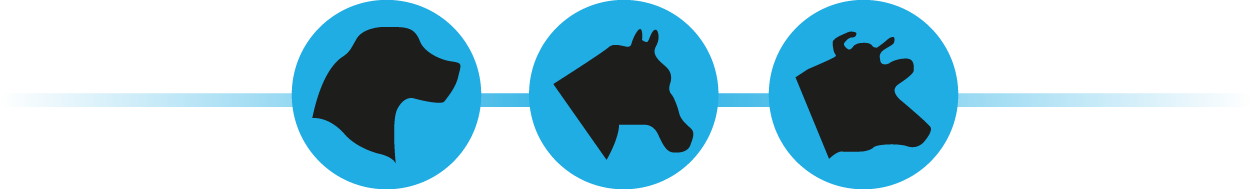 Versatile Mains Clipper With Two Blades - Versatile Mains Clipper With Two Blades (1250x189)